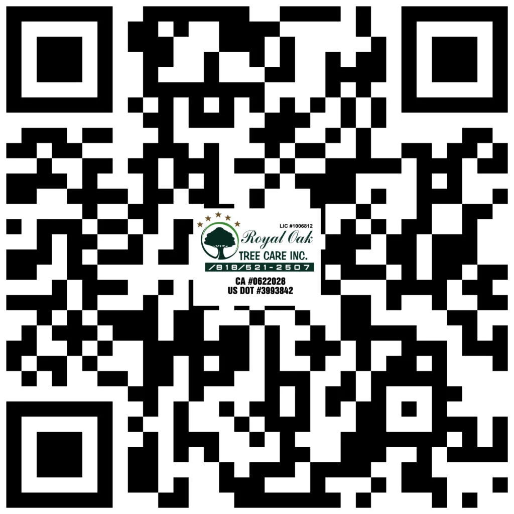 QR 1024x1024